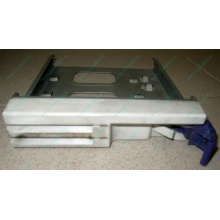 Салазки RID014020 для SCSI HDD (Старый Оскол)