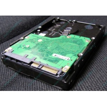 Жесткий диск 600Gb 15k Dell 9FN066-008 6G SAS ( Seagate Cheetach ST3600057SS 15K.7) - Старый Оскол