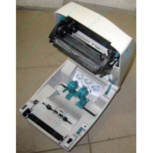 Термопринтер Zebra TLP 2844 (без БП!) - Старый Оскол