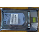HDD 146.8Gb HP 360205-022 404708-001 404670-002 (Старый Оскол)