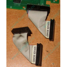 6017B0045701 Шлейф 24 pin для Intel C74974-401 T0043401-B01 корпуса SR2400 (Старый Оскол)