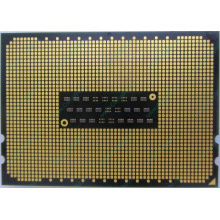 AMD Opteron 6128 OS6128WKT8EGO (Старый Оскол)
