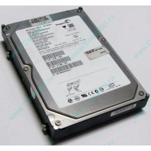 Жесткий диск 80Gb HP 345713-005 371580-002 345733-005 Seagate ST380013AS SATA (Старый Оскол)