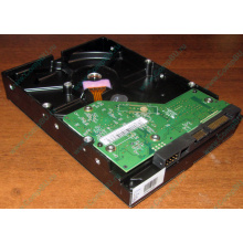 Жесткий диск 500Gb WD WD5000AAKX HP 634605-003 613208-001 7.2k SATA (Старый Оскол)