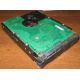 Жесткий диск 300Gb 15k Seagate Cheetach ST3300656SS 15K.6 Dell 9CH066-050 6G SAS (Старый Оскол)